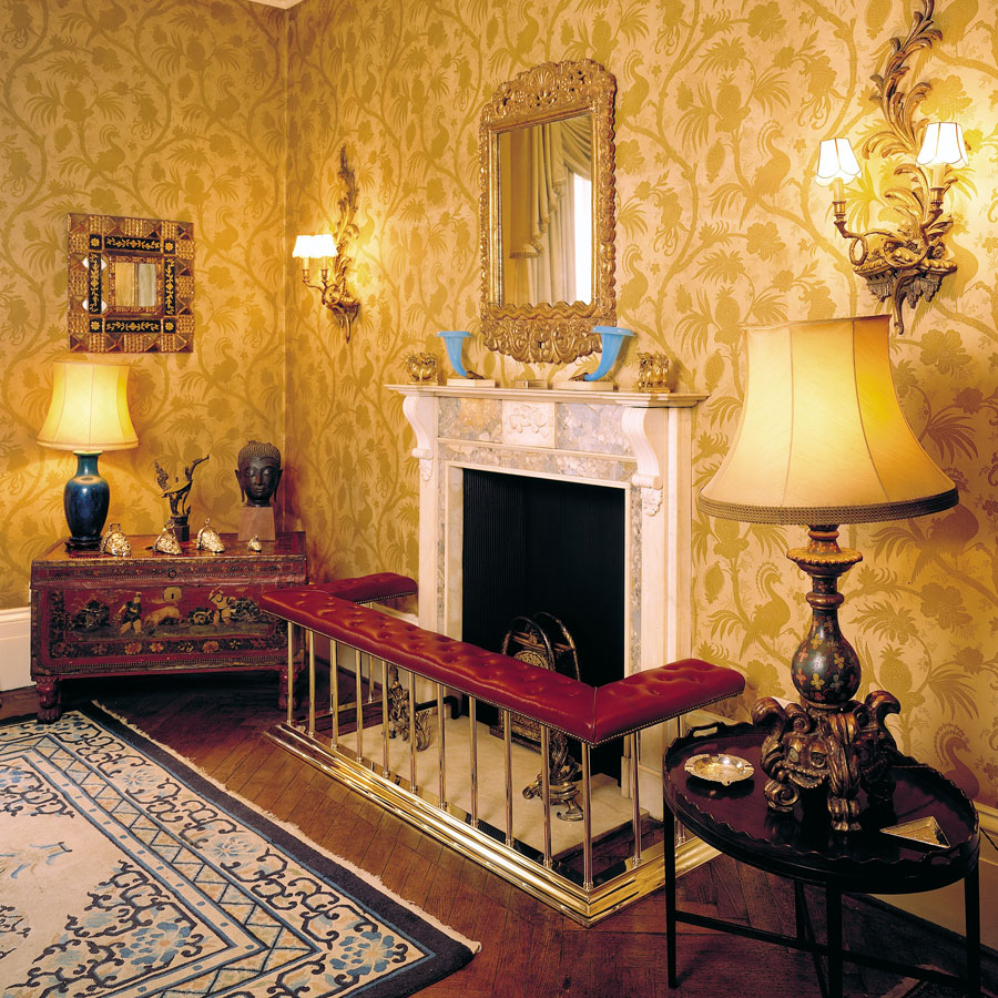 Club Fenders ORIGINAL CLUB FENDERS